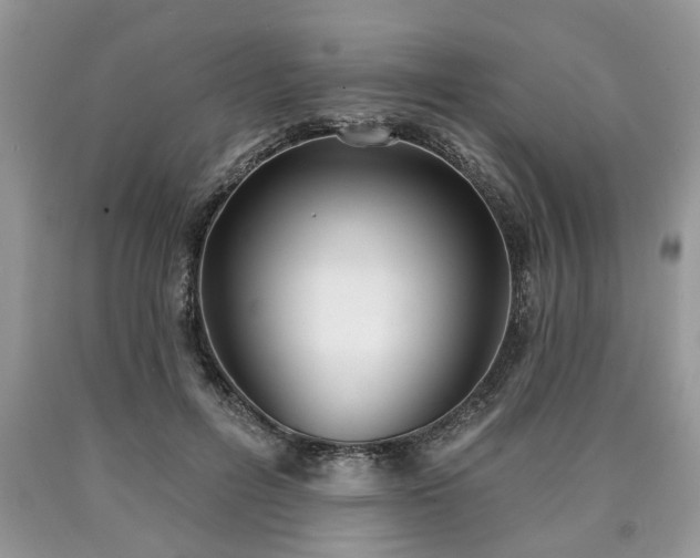 X0000090500600200707201548