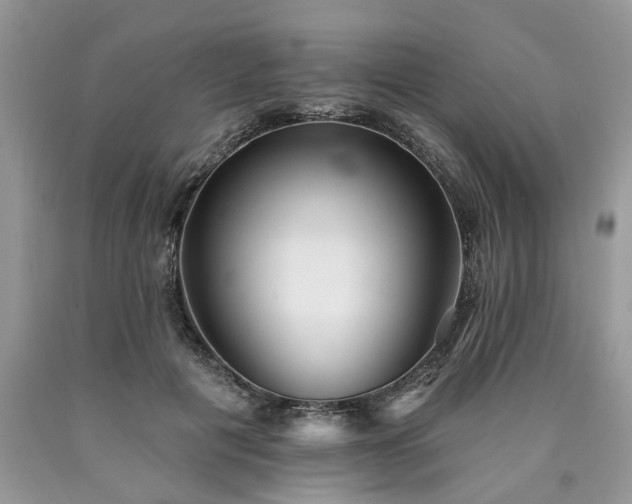 X0000090500601200707201548