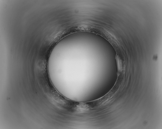 X0000090500603200707201548