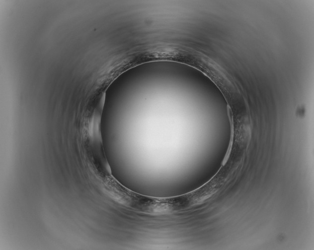 X0000090500604200707201548