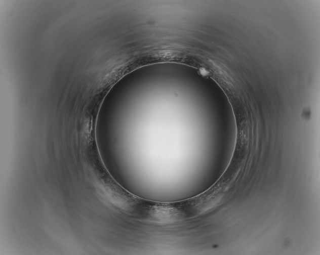 X0000090500605200707201548