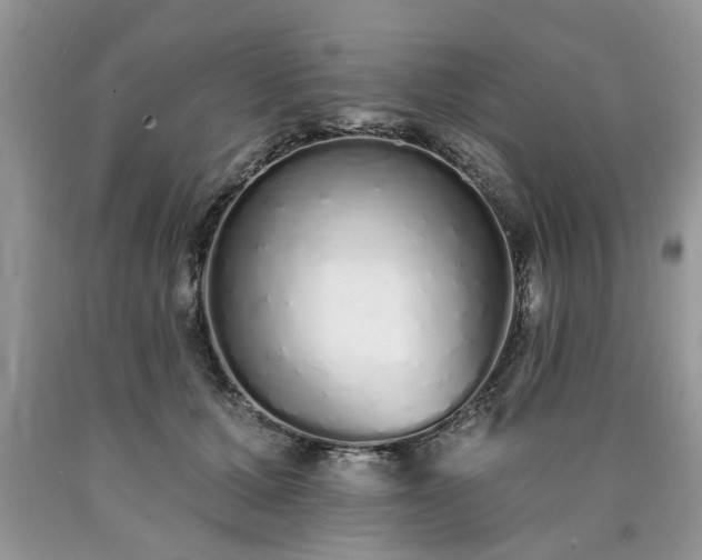 X0000090500607200707201548