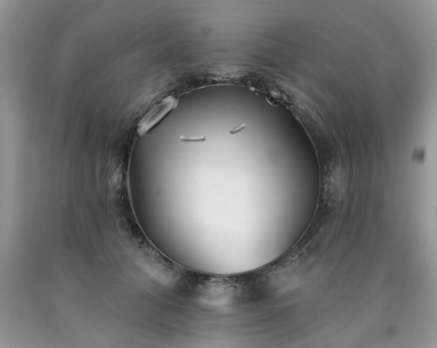 X0000090500608200707201548