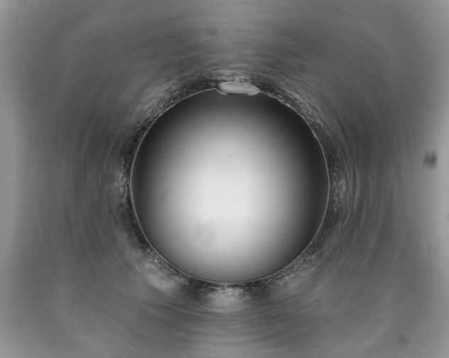 X0000090500609200707201548