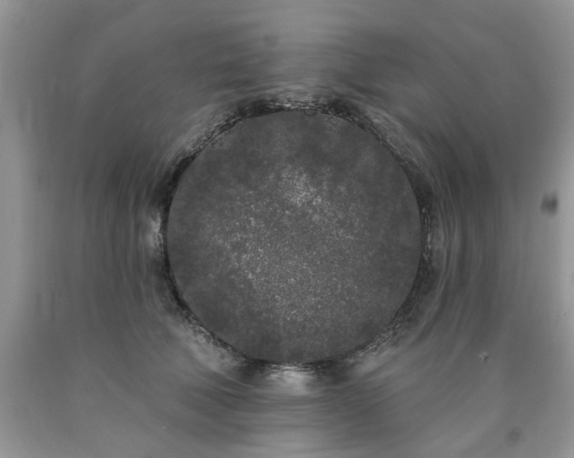 X0000090500610200707201548