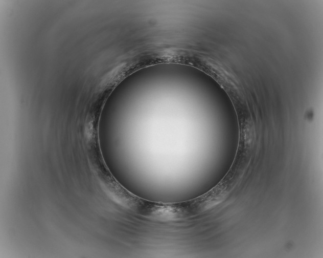X0000090500611200707201548