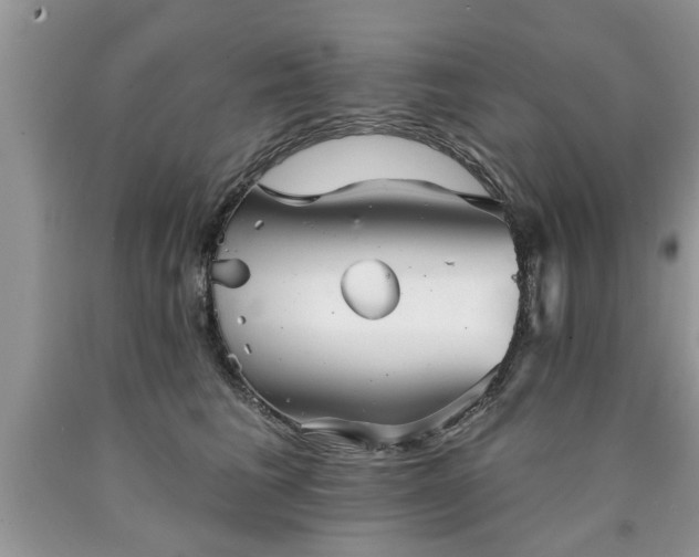 X0000090500613200707201548