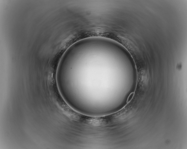 X0000090500615200707201548