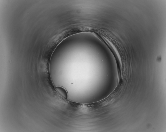 X0000090500616200707201548