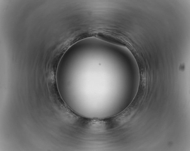 X0000090500617200707201548