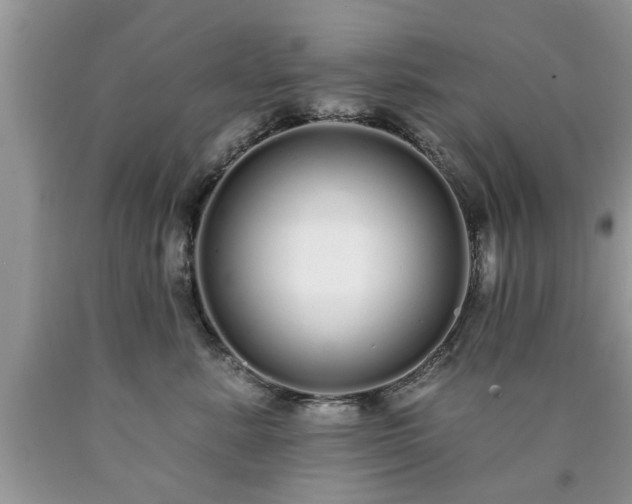 X0000090500619200707201548