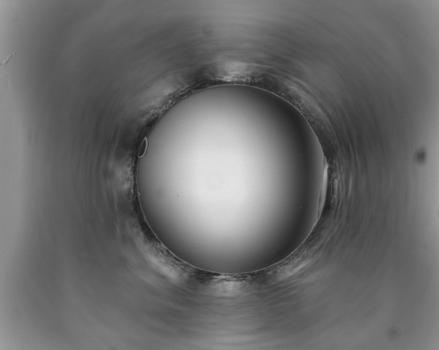X0000090500620200707201548