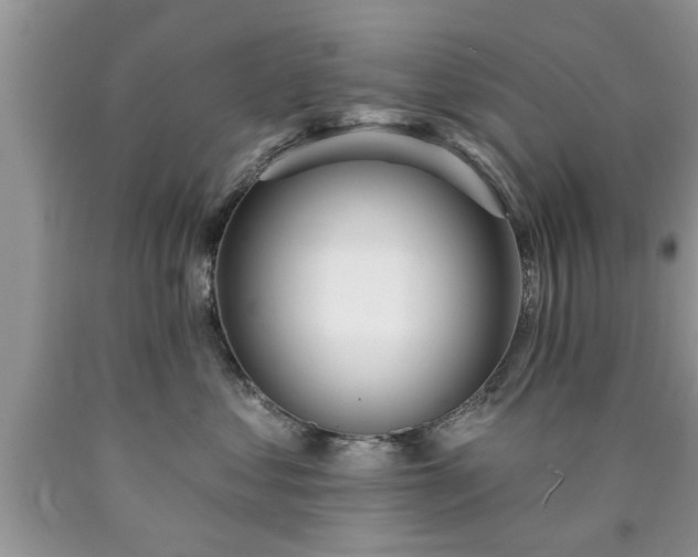 X0000090500621200707201548