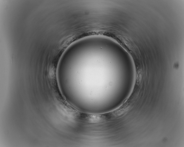 X0000090500623200707201548