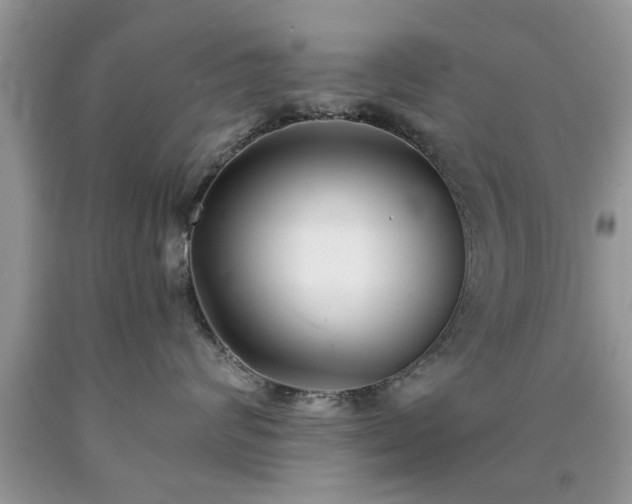X0000090500624200707201548