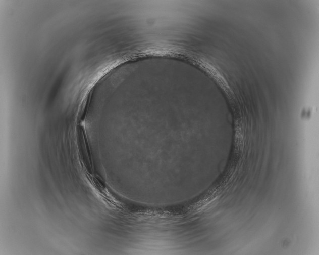 X0000090500626200707201547
