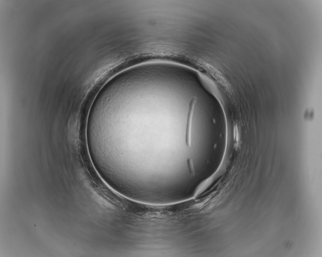 X0000090500627200707201547