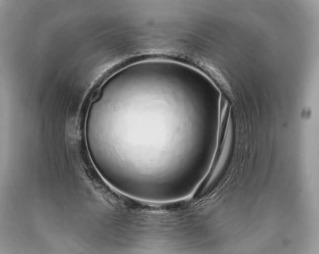 X0000090500628200707201547