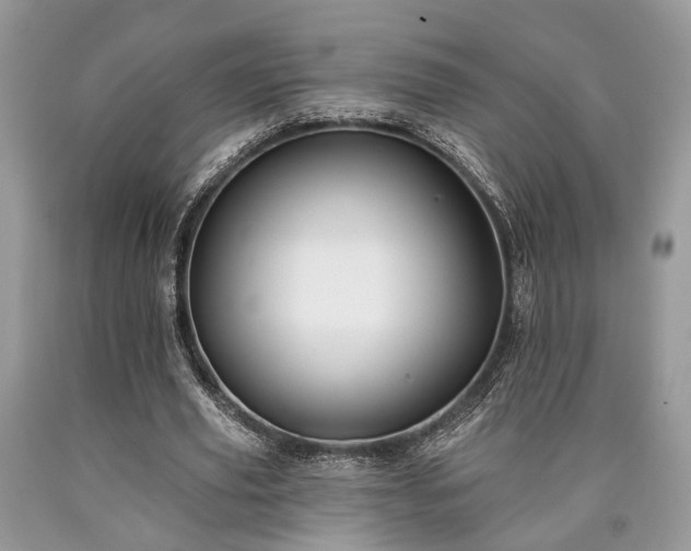 X0000090500629200707201547