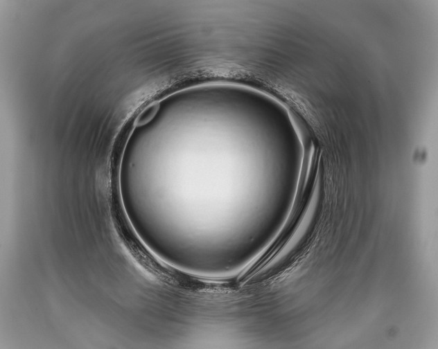 X0000090500630200707201547