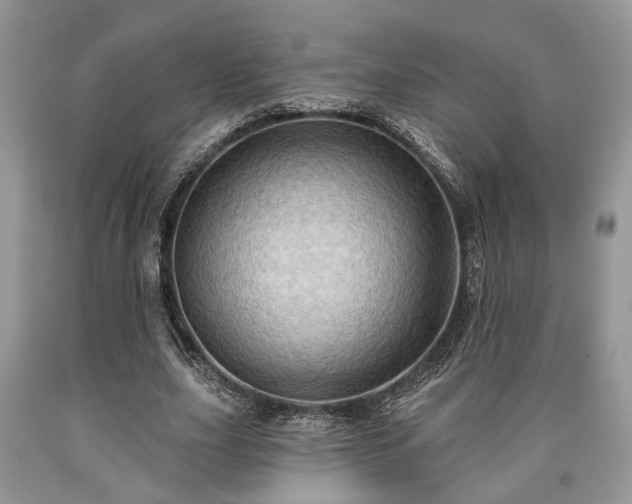 X0000090500631200707201547
