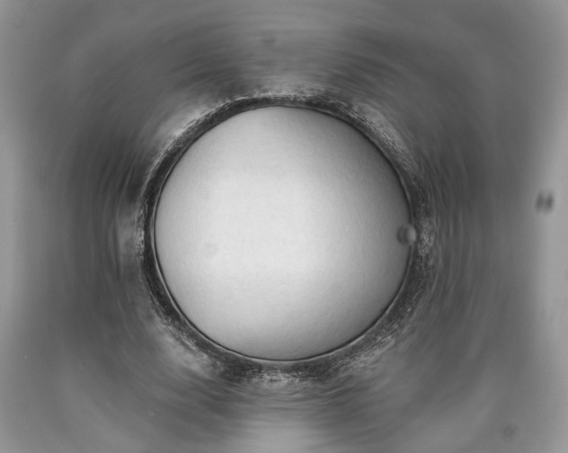 X0000090500632200707201547