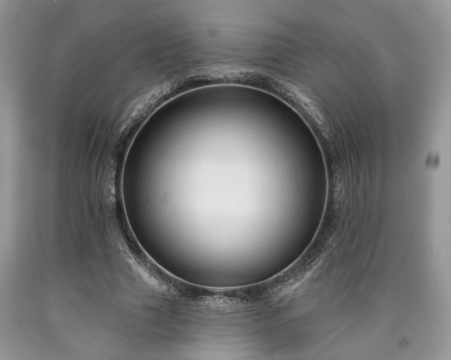 X0000090500633200707201547
