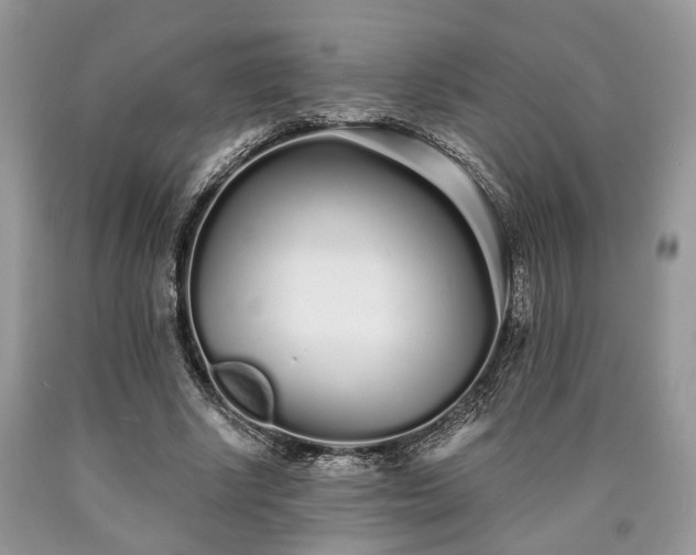X0000090500634200707201547