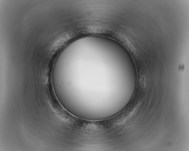 X0000090500635200707201547
