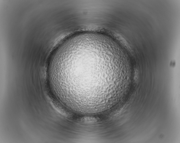 X0000090500636200707201547