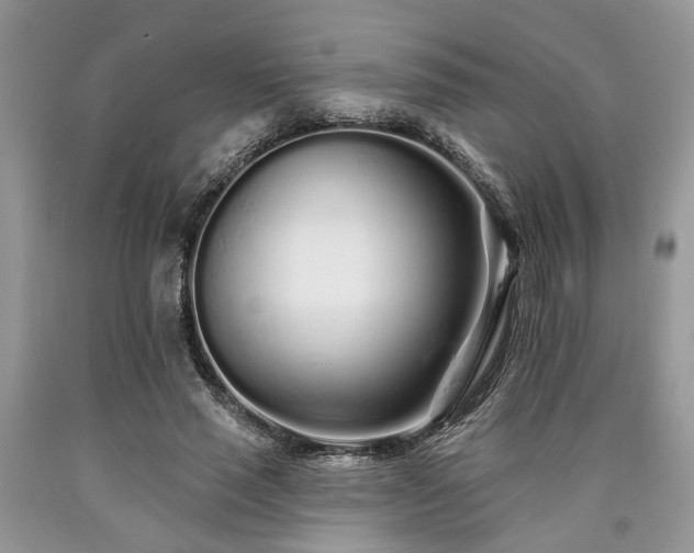 X0000090500637200707201547
