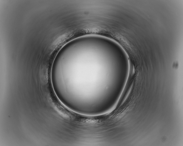 X0000090500638200707201547