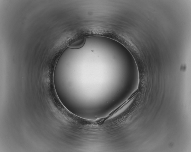 X0000090500639200707201547