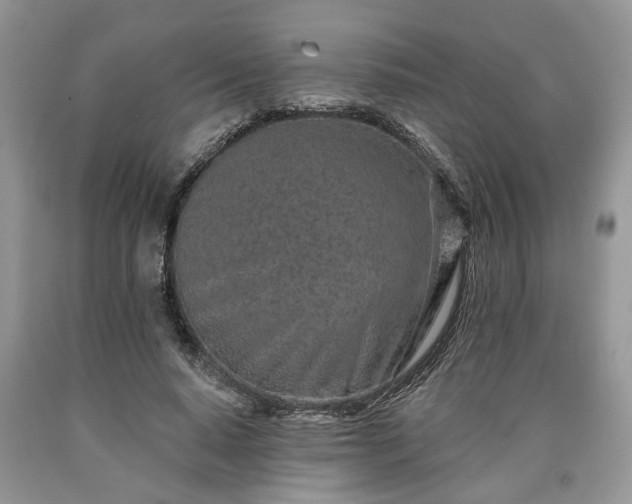 X0000090500640200707201547