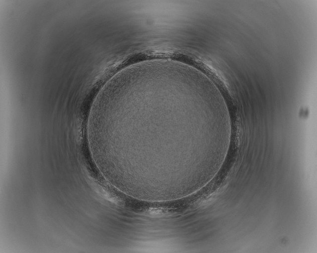 X0000090500641200707201547