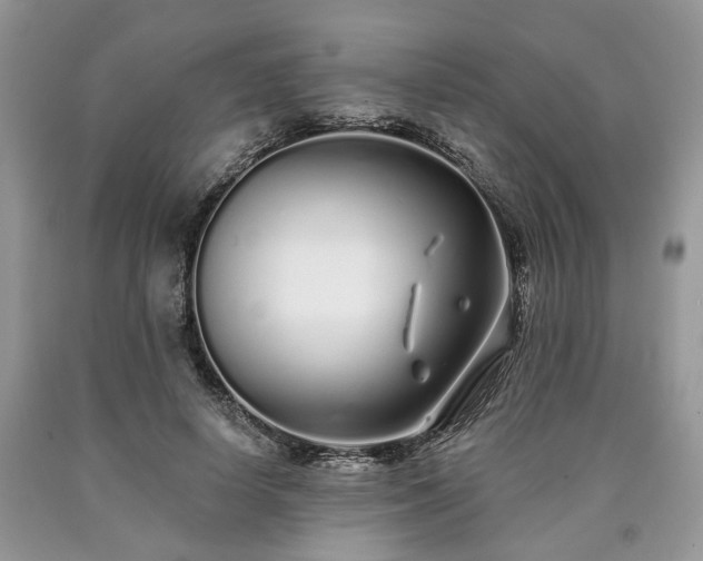 X0000090500642200707201548