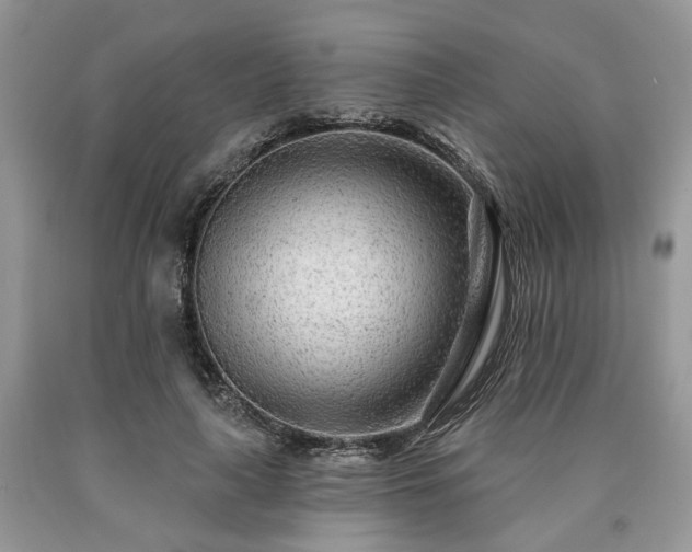 X0000090500643200707201548