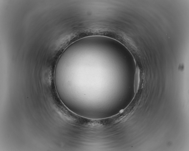 X0000090500644200707201548