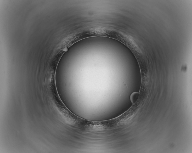 X0000090500645200707201548