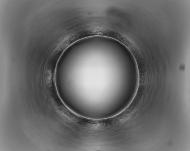 X0000090500646200707201548