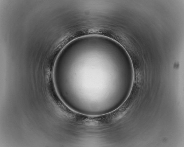 X0000090500648200707201548