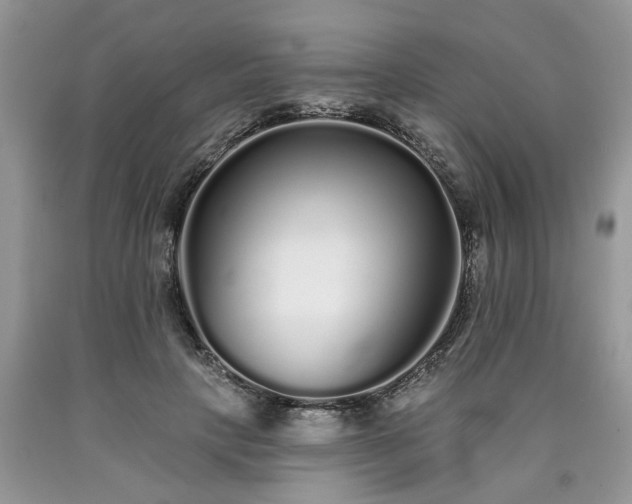 X0000090500649200707201548
