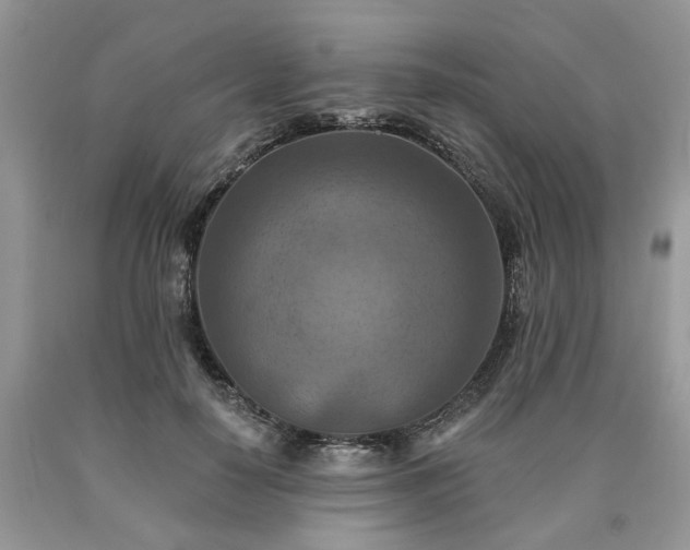 X0000090500650200707201548