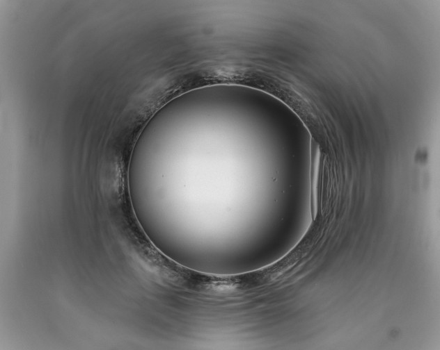 X0000090500651200707201548