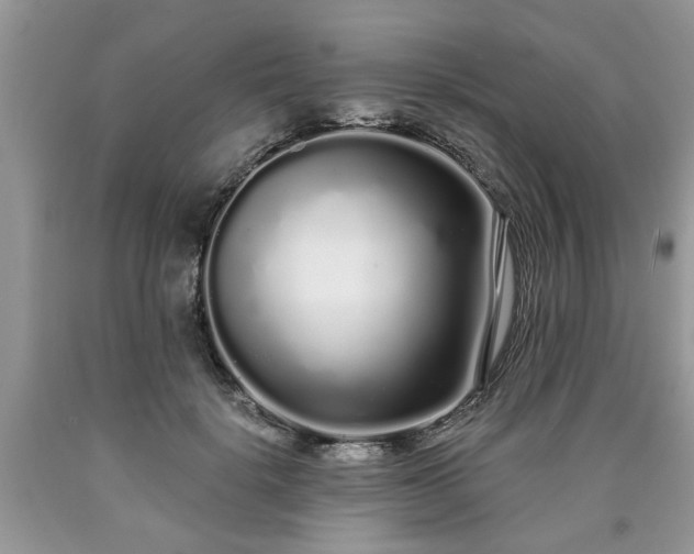 X0000090500652200707201548