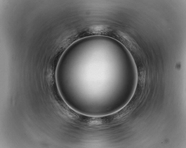X0000090500653200707201548