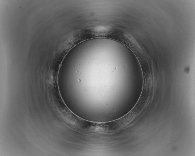 X0000090500655200707201548