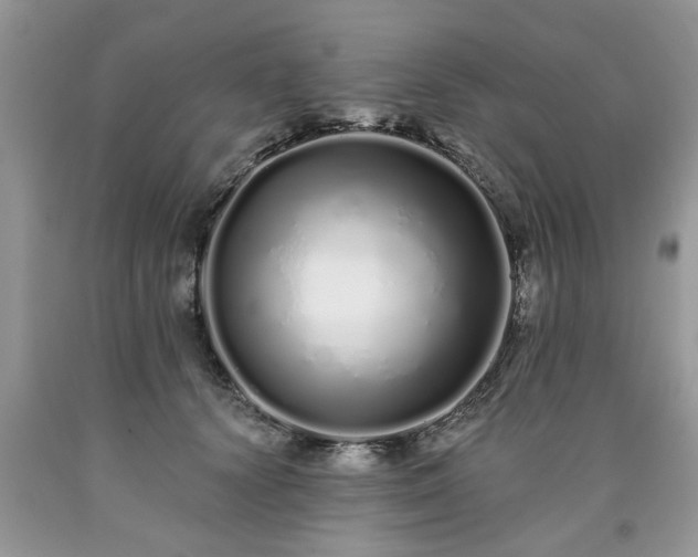 X0000090500656200707201548