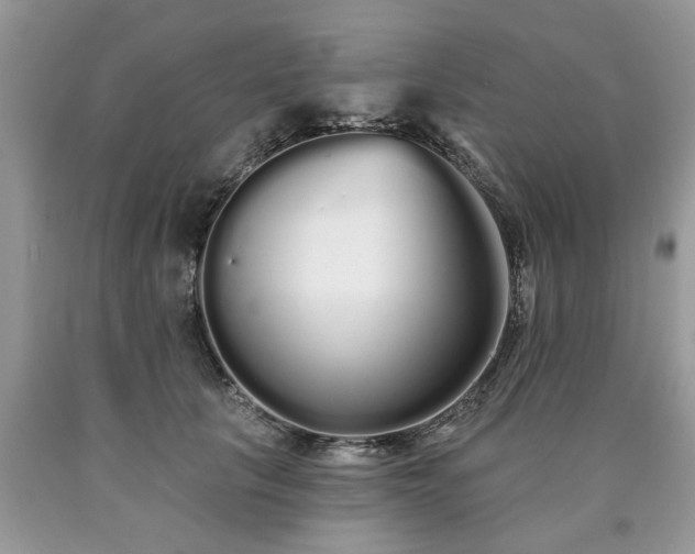 X0000090500657200707201548