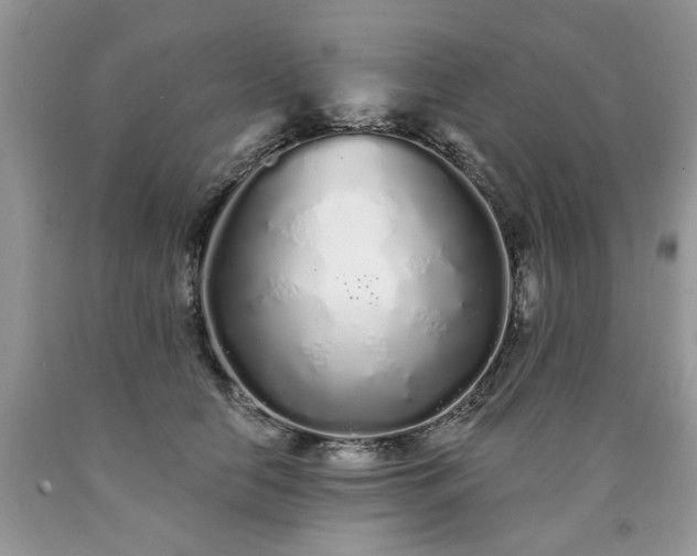 X0000090500658200707201548